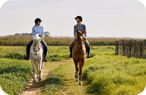 Activity Image activity-image