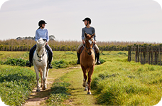 Activity Image activity-image