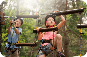 Activity Image activity-image